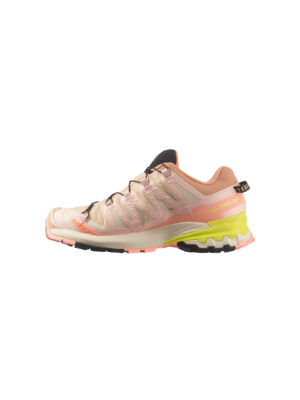 Salomon xa pro hot sale gtx womens